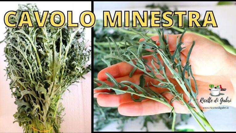 Broccoli: scopri il segreto della minestra napoletana, piatto sano e delizioso