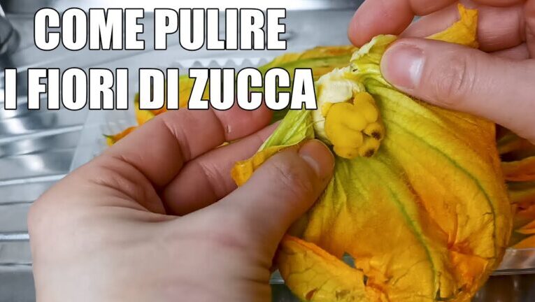 Sorprendente: è proprio commestibile il pistillo dei fiori di zucca!
