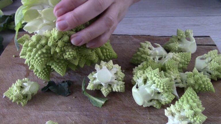 Broccolo Romanesco: 3 Deliziose Ricette Light per Mantenersi in Forma!