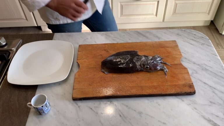Segreto di cucina: il congelamento del nero di seppia!