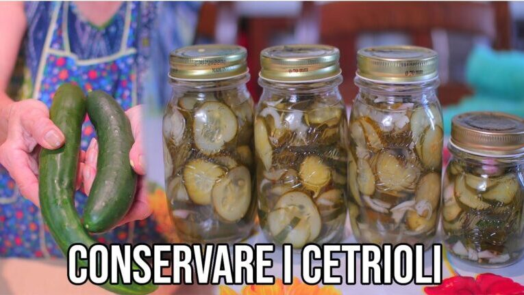 Segreti della cucina: cetrioli e cipolle in agrodolce, un’esplosione di sapori in soli 70 caratteri!