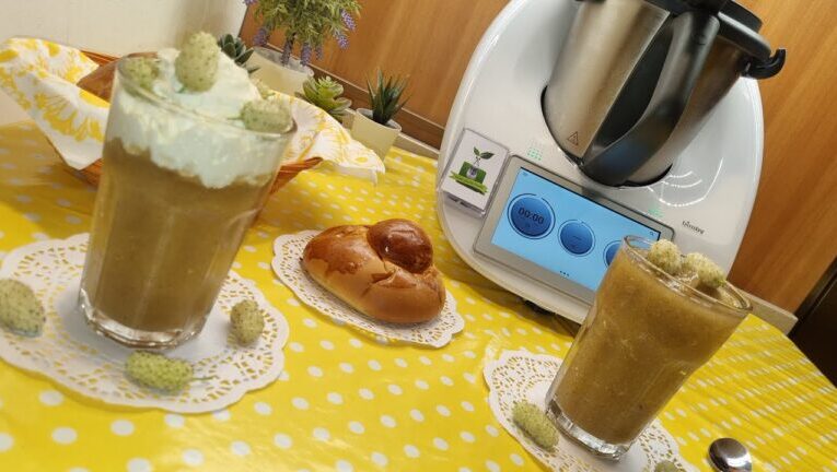 Granita ai gelsi con Bimby: il fresco dessert estivo in 70 caratteri