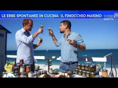 Finocchietto di Mare: 5 Deliziose Ricette per Sperimentare Sapori Unici!