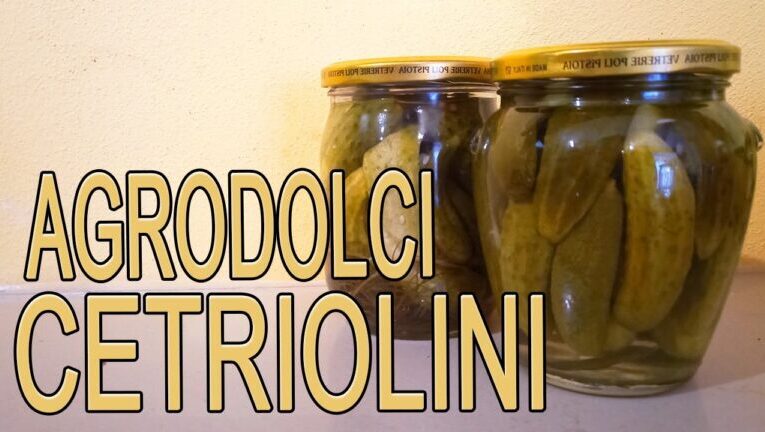 La tradizionale ricetta dei cetriolini sottaceto alla tedesca: un’esplosione di sapori in soli 70 caratteri!