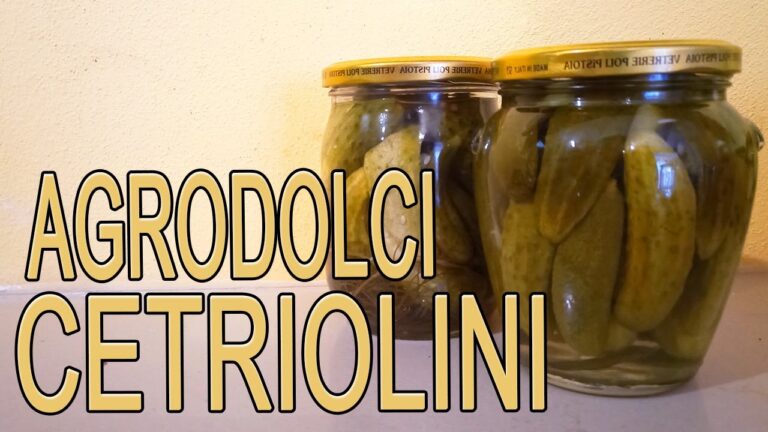 La tradizionale ricetta dei cetriolini sottaceto alla tedesca: un’esplosione di sapori in soli 70 caratteri!