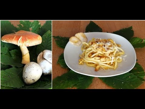 Pasta con ovuli e panna: un connubio irresistibile che delizia il palato